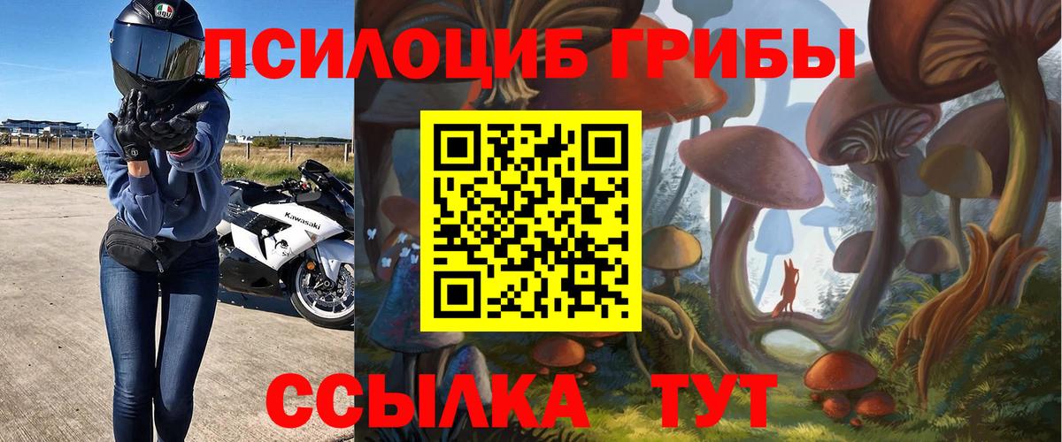 Галлюциногенные грибы ЛСД  Псилоцибиновые грибы прущие грибы  купить наркоту  Шумерля  Вход с VPN 