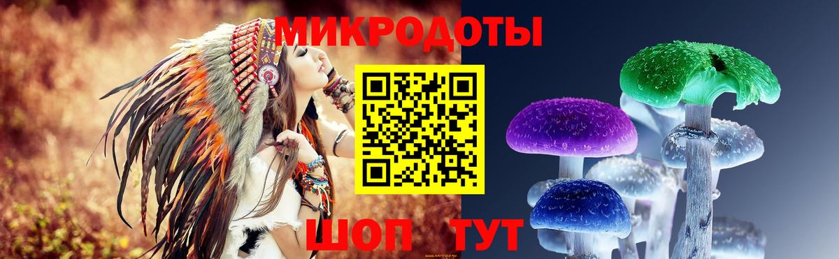 Псилоцибиновые грибы GOLDEN TEACHER Шумерля